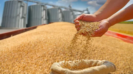 UN report: Iran war consequences raise vegetable oil and meat costs globally - الأمن الغذائي العالمي 2026 2026 Global Food Security