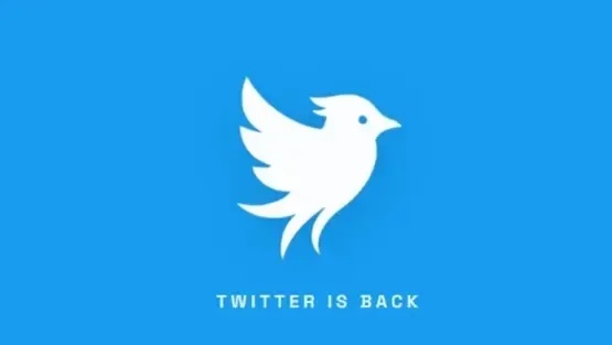 شركة أمريكية تطلق منصة "تويتر.ناو" لإحياء اسم "تويتر" بعد تحول "إكس" - تويتر.ناو أوبريشن بلو بيرد Twitter.now Operation Bluebird