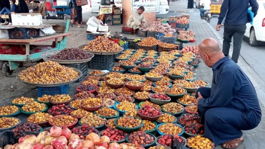 Karbala Achieves Significant Leap in Date Production, Exceeding 220,000 Tons - تمر كربلاء إنتاج التمور Karbala dates Date production